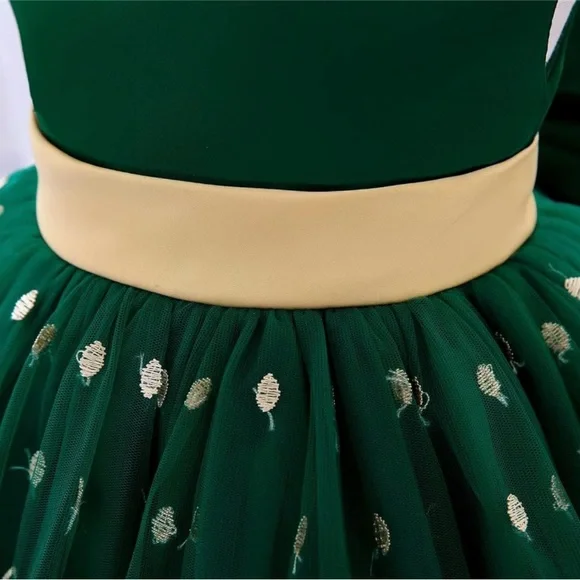 🤩 NEW ITEM! Green and Gold Toddler Girl Christmas dress - Picture 3 of 7